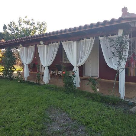 Olive Garden Guest House Kyparissia Zewnętrze zdjęcie