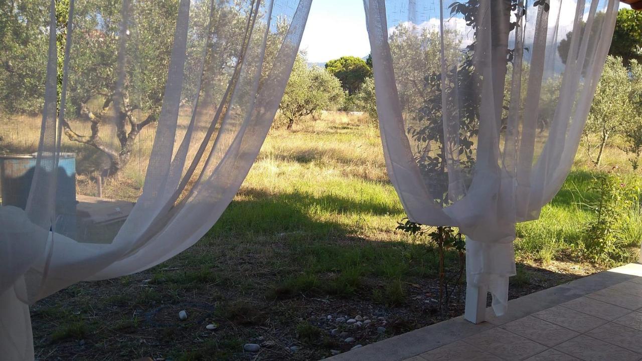 Olive Garden Guest House Kyparissia Zewnętrze zdjęcie