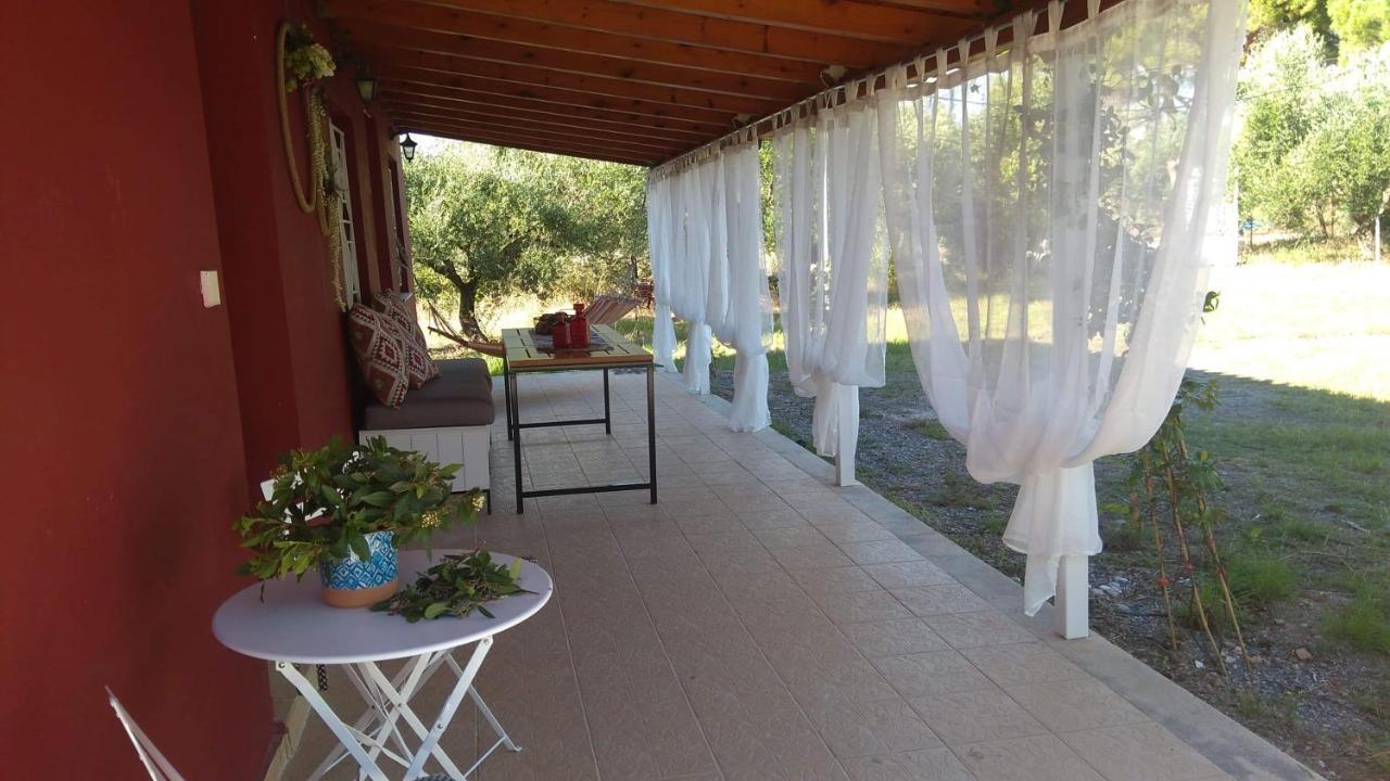 Olive Garden Guest House Kyparissia Zewnętrze zdjęcie