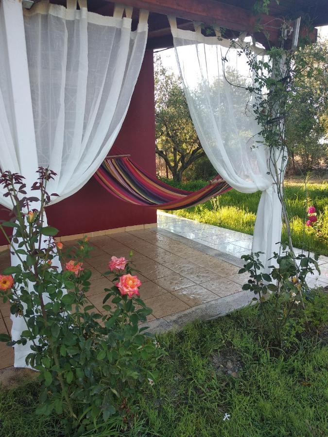 Olive Garden Guest House Kyparissia Zewnętrze zdjęcie