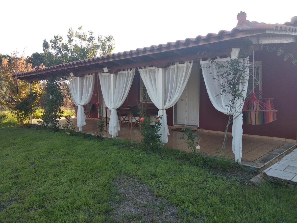 Olive Garden Guest House Kyparissia Zewnętrze zdjęcie